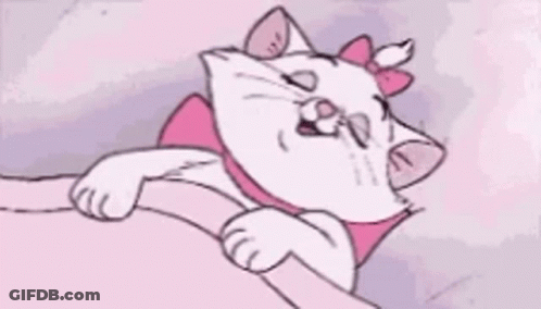 A Cartoon Of A Cat With A Pink Bow On Its Head GIF