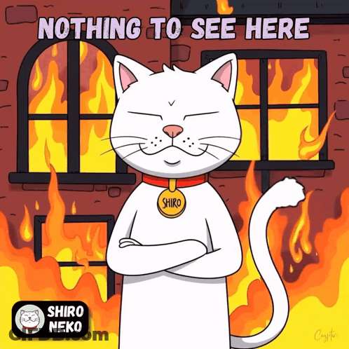 A Cartoon Of A Cat With A Tag That Says Shiro GIF