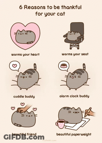 A Cartoon Of A Cat With The Words " 6 Reasons To Be Thankful For Your Cat " At The Top GIF