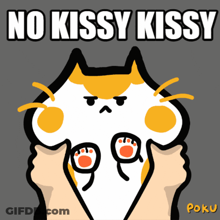 A Cartoon Of A Cat With The Words No Kissy Kissy GIF