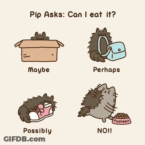 A Cartoon Of A Cat With The Words Pip Asks Can I Eat It On It GIF