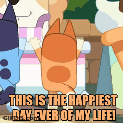 A Cartoon Of A Cat With The Words " This Is The Happiest Day Ever Of My Life " GIF