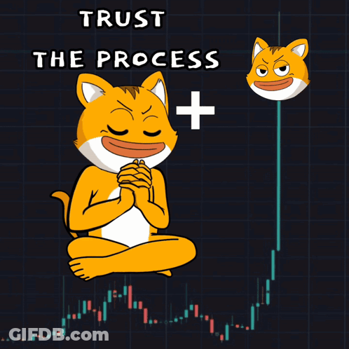 A Cartoon Of A Cat With The Words Trust The Process Written Above It GIF