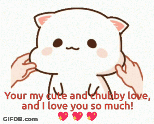 A Cartoon Of A Cat With The Words " Your My Cute And Chubby Love And I Love You So Much " Below It GIF