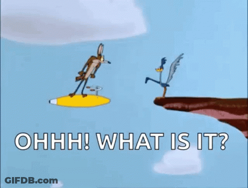 A Cartoon Of A Coyote And A Bird Flying Over A Cliff With The Words `` What Is It '' . GIF