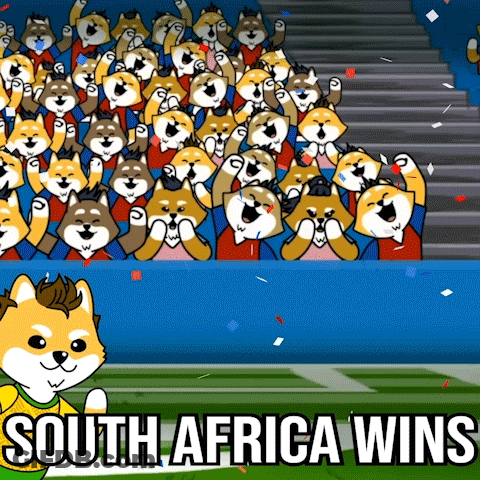 A Cartoon Of A Crowd Of Dogs With The Words South Africa Wins GIF