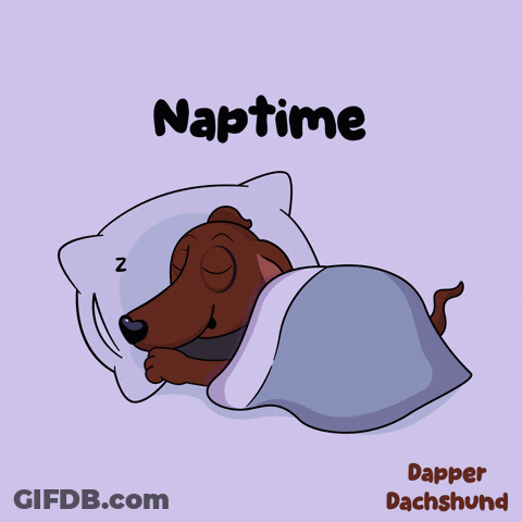 A Cartoon Of A Dachshund Sleeping Under A Blanket With The Words Naptime Above It GIF