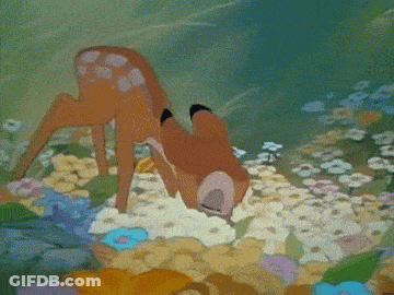 A Cartoon Of A Deer And A Squirrel Standing In A Field Of Flowers GIF
