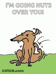 A Cartoon Of A Deer With Nuts On Its Head And The Words `` I 'M Going Nuts Over You ! '' GIF
