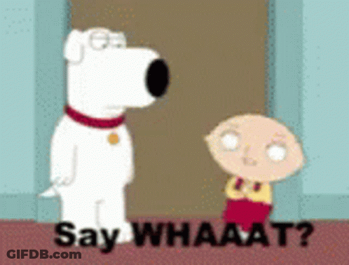 A Cartoon Of A Dog And A Boy Standing Next To Each Other With The Caption Say Whaaat GIF