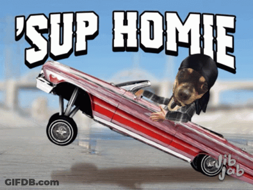 A Cartoon Of A Dog Driving A Lowrider With The Words ' Sup Homie ' Above It GIF
