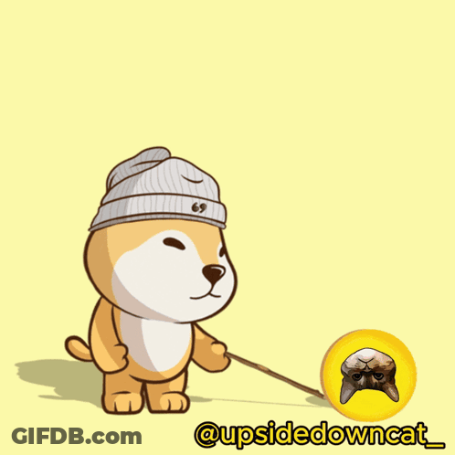 A Cartoon Of A Dog Holding A Stick In Front Of An Explosion That Says " Cmon Do Something " GIF