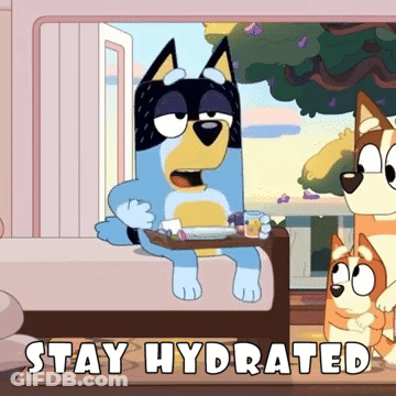 A Cartoon Of A Dog Holding A Tray Of Food With The Words Stay Hydrated Below It GIF