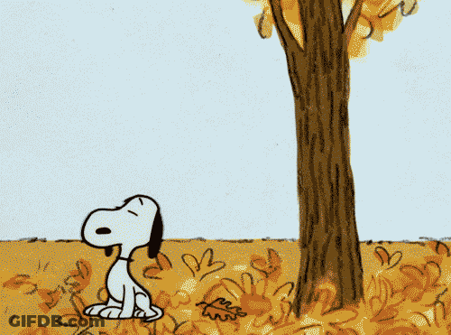 A Cartoon Of A Dog Playing With Leaves GIF