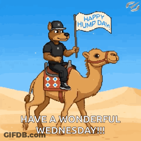 A Cartoon Of A Dog Riding A Camel With A Happy Hump Day Flag GIF