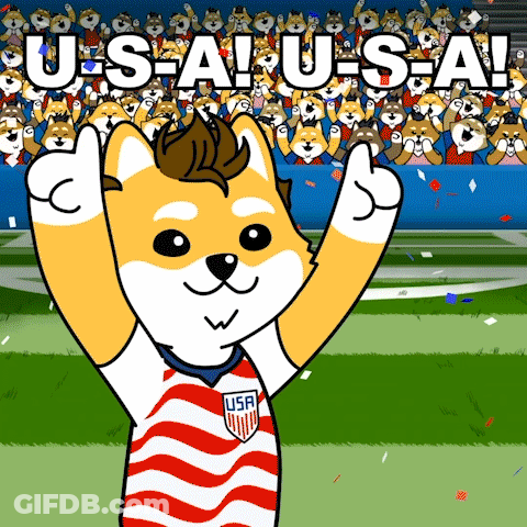 A Cartoon Of A Dog Wearing An Usa Jersey GIF