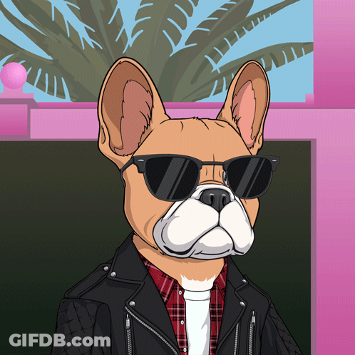 A Cartoon Of A Dog Wearing Sunglasses And A Jacket GIF