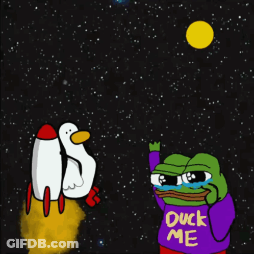 A Cartoon Of A Duck And A Rocket With A Duck Wearing A Purple Shirt That Says Duck Me GIF