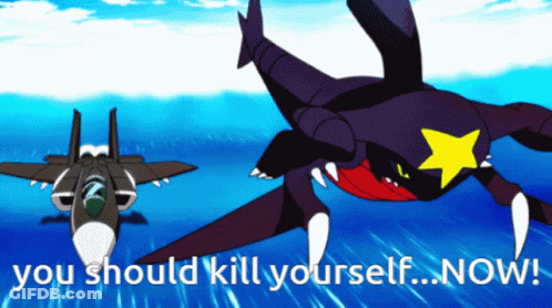 A Cartoon Of A Fighter Jet And A Shark With The Words " You Should Kill Yourself Now " GIF