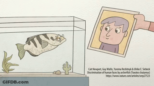 A Cartoon Of A Fish In A Tank With A Picture Of A Man Behind It GIF