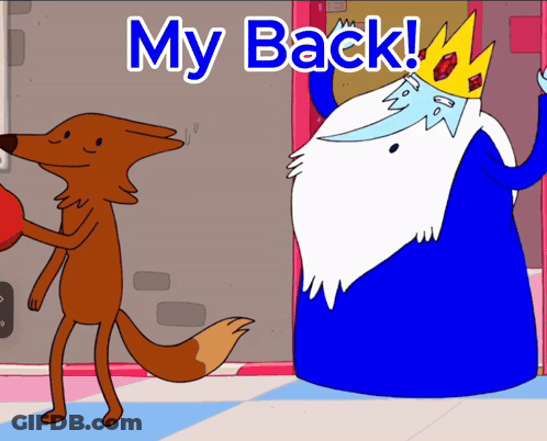 A Cartoon Of A Fox And Ice King With The Words My Back GIF