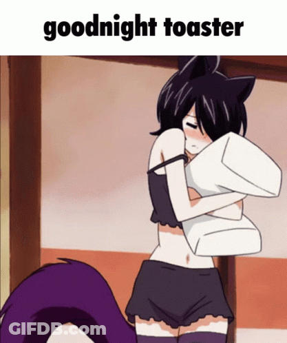 A Cartoon Of A Girl Hugging A Pillow With The Words Goodnight Toaster Below Her GIF