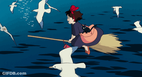 Girl Riding Broom With Seagulls In Background GIF