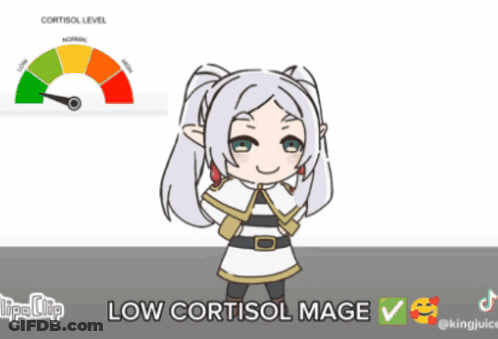A Cartoon Of A Girl With A Sword And The Words Low Cortisol Mage Below Her GIF