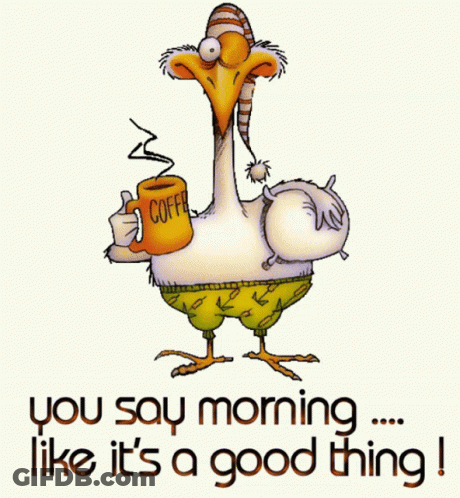 A Cartoon Of A Goose Holding A Cup Of Coffee With The Words " You Say Morning Like It 'S A Good Thing " GIF
