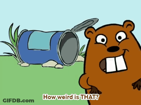 A Cartoon Of A Ground Squirrel Standing Next To An Open Can With The Words How Weird Is That Below It GIF