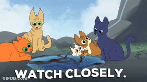 A Cartoon Of A Group Of Cats With The Words Watch Closely GIF