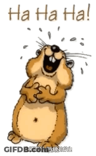 A Cartoon Of A Hamster Laughing With The Words `` Ha Ha Ha '' . GIF