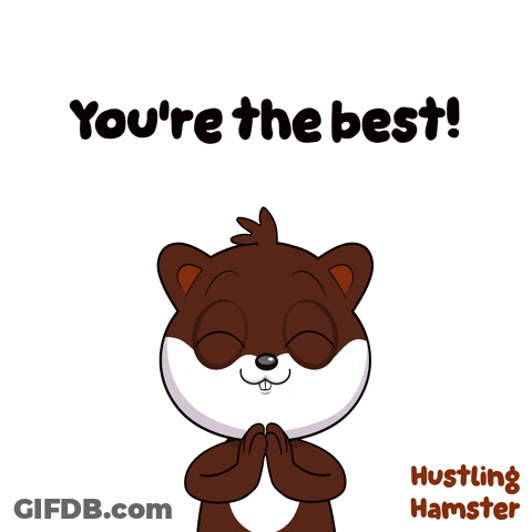 A Cartoon Of A Hamster With The Words You 'Re The Best GIF