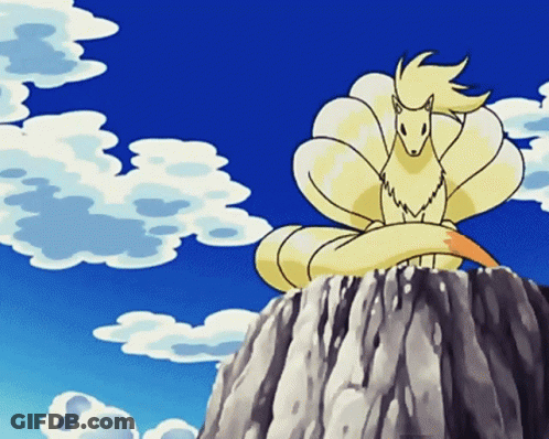 Horse Sitting On Rock GIF