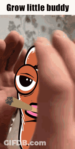 A Cartoon Of A Hot Dog Smoking A Cigarette With The Words Grow Little Buddy Above It GIF