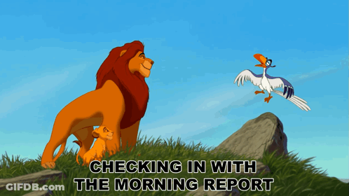 A Cartoon Of A Lion And A Bird With The Words Checking In With The Morning Report Below It GIF