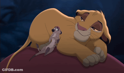 A Cartoon Of A Lion And A Meerkat Laying On A Rock GIF