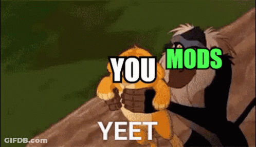 A Cartoon Of A Lion And A Monkey With The Words You Mods Yeet GIF