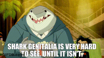 A Cartoon Of A Man Dressed As A Shark With The Words Shark Genitalia Is Very Hard To See GIF