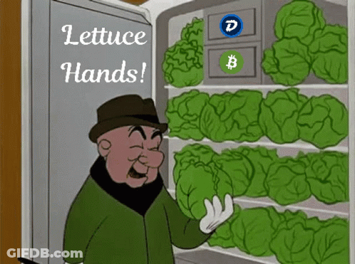 A Cartoon Of A Man Holding A Lettuce In Front Of A Refrigerator Full Of Lettuce . GIF