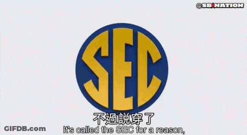 A Cartoon Of A Man Holding Up A Sec Logo Surrounded By Money GIF