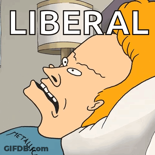 A Cartoon Of A Man Laying In Bed With The Word Liberal Written On The Bottom GIF