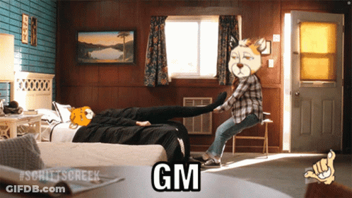 A Cartoon Of A Man Laying On A Bed With The Word Gm Written On It GIF