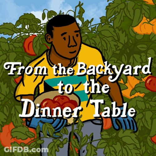 A Cartoon Of A Man Picking Tomatoes With The Words From The Backyard To The Dinner Table Above Him GIF