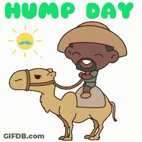 A Cartoon Of A Man Riding On The Back Of A Camel GIF