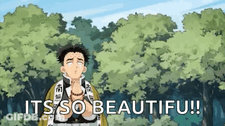 A Cartoon Of A Man Standing In Front Of A Forest With The Words `` It 'S So Beautiful '' . GIF