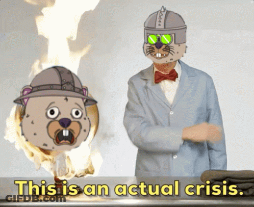 A Cartoon Of A Man Standing Next To A Cartoon Of A Beaver With The Words " This Is An Actual Crisis " Above Him GIF