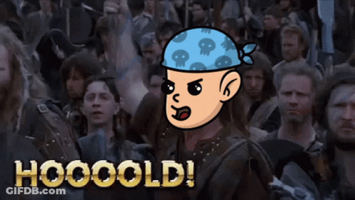 A Cartoon Of A Man Wearing A Bandana With Skulls On It And The Words Hooooold GIF