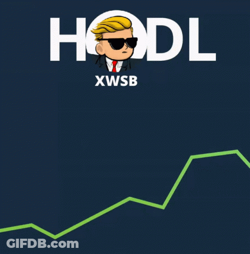 A Cartoon Of A Man With The Word Hodl Xwsb On The Bottom GIF
