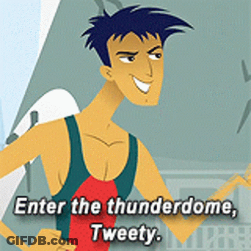 A Cartoon Of A Man With The Words " Enter The Thunderdome Tweety " GIF